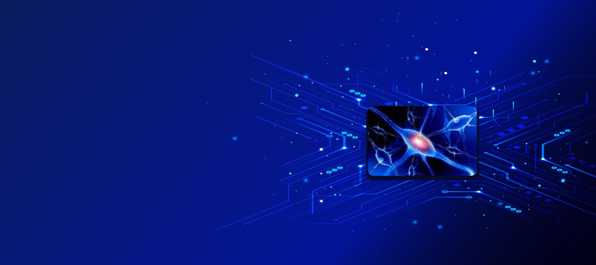 双目立体视觉+AI双驱动