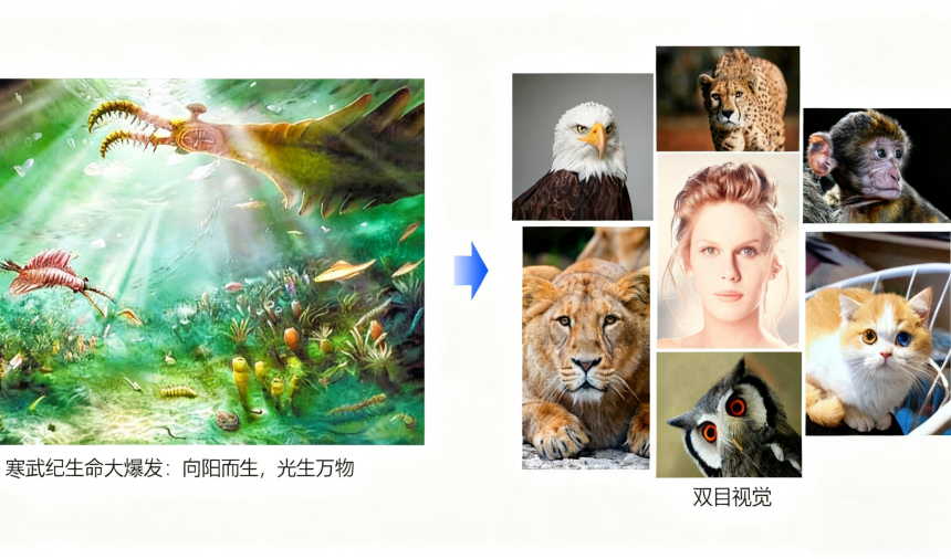 1760946046620207.png 1-进化-官网.png