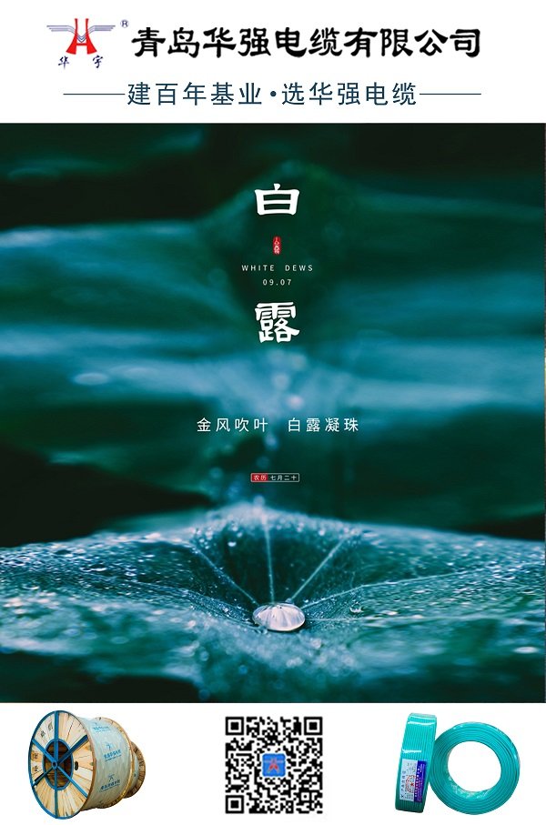 港典宝典