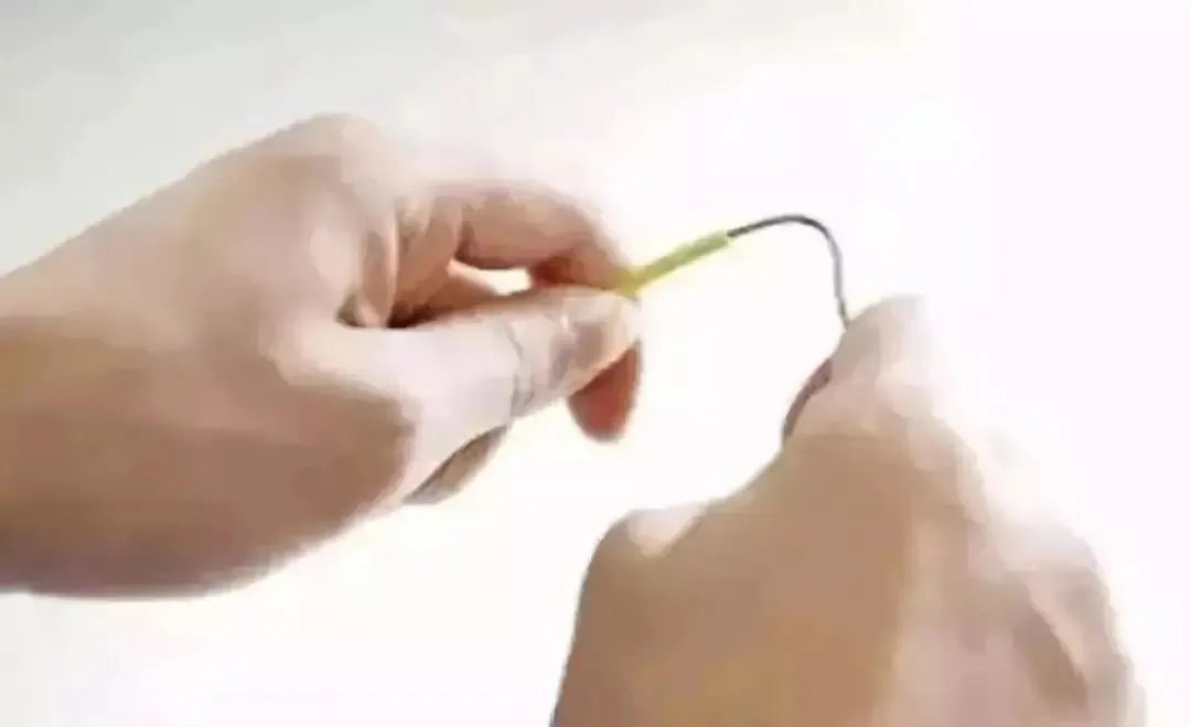港典宝典